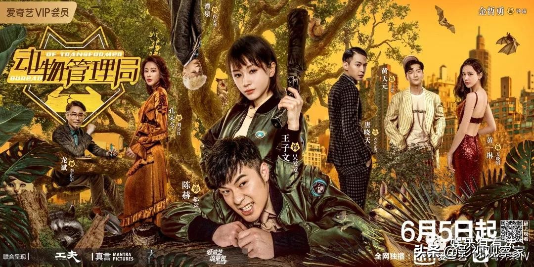 动物管理局第二季免费观看完整版,动物管理局完整版1-24集免费