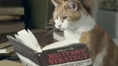 「解读」想去意大利留学,好申请吗?意大利大学毕业到底难不难