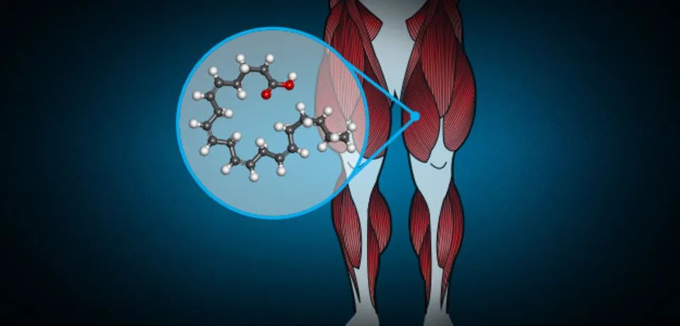 “促合成物质”大全：增肌催化剂，安全合法