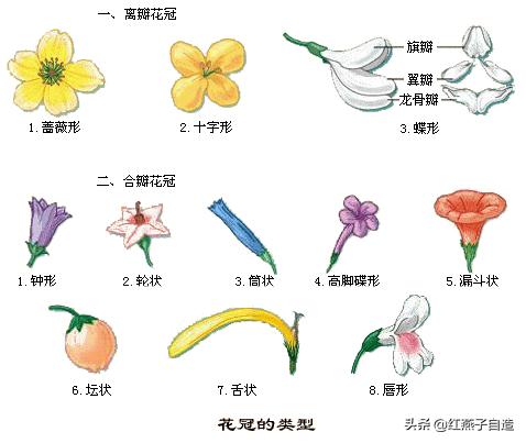 实用手工diy制作钩针花,diy手工花钩织