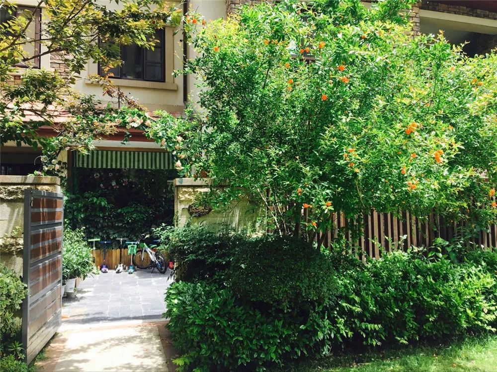 武汉最难学校是哪个,武汉最难进的10所大学