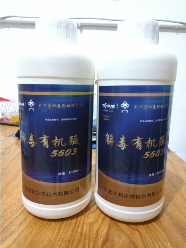 池塘高温最容易起蓝藻怎么预防,高温天气虾塘如何处理青苔