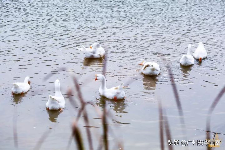 考上湖大是什么水平,考上湖美一年花多少