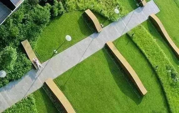 花园草地打理,花园草坪养护