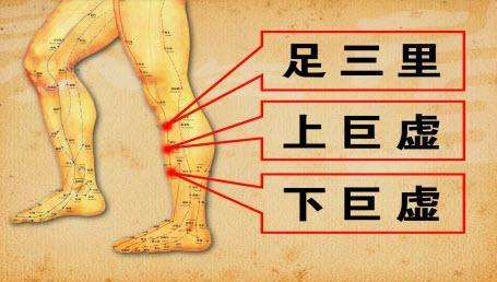 我只是拉肚子可是为啥发烧呢？这个可以用艾灸调理，要不试试