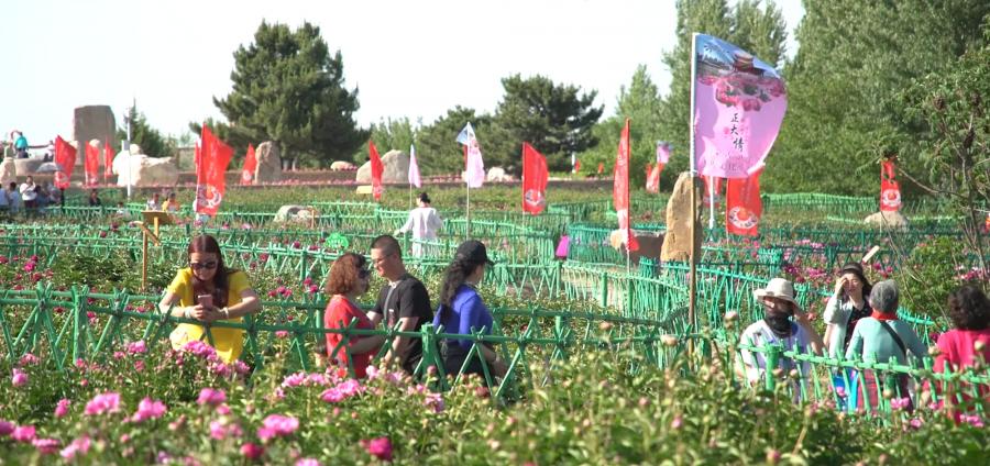 四好农村路创建工作开展情况汇报,四好农村路助力全面小康