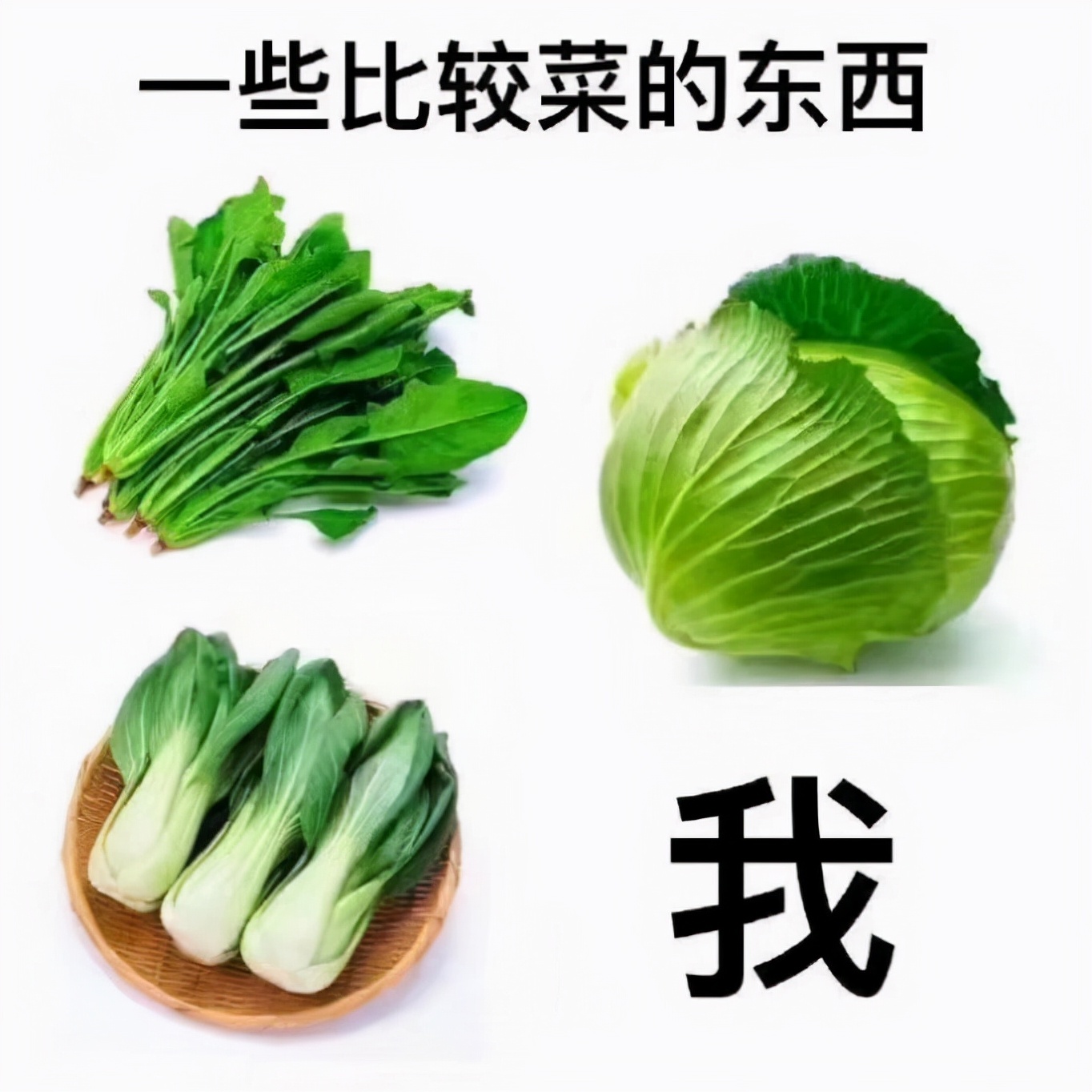 鄂尔多斯市东胜区临聘教师工资,鄂尔多斯高薪招教师