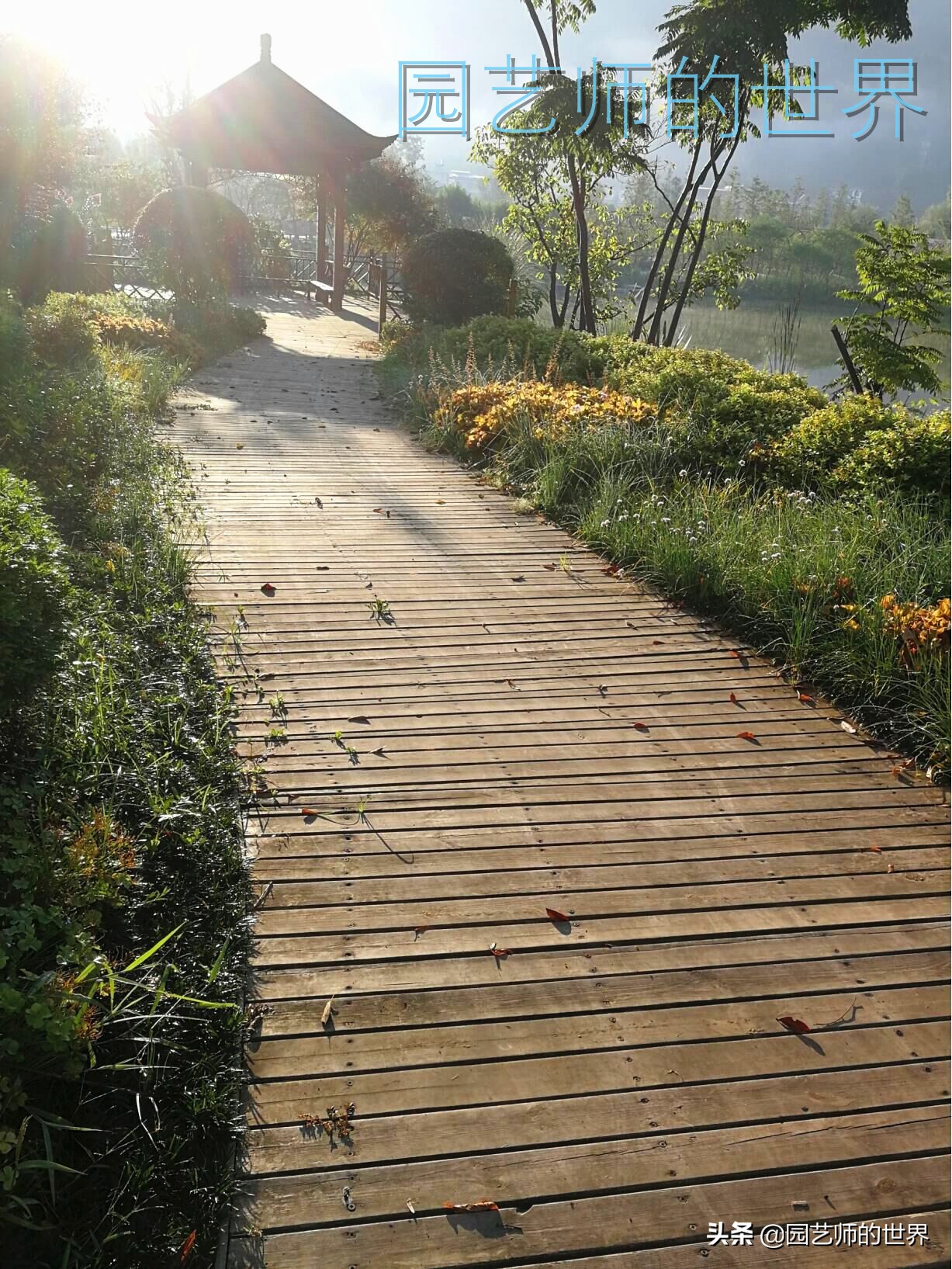 花园科学实验,花园案例及解析