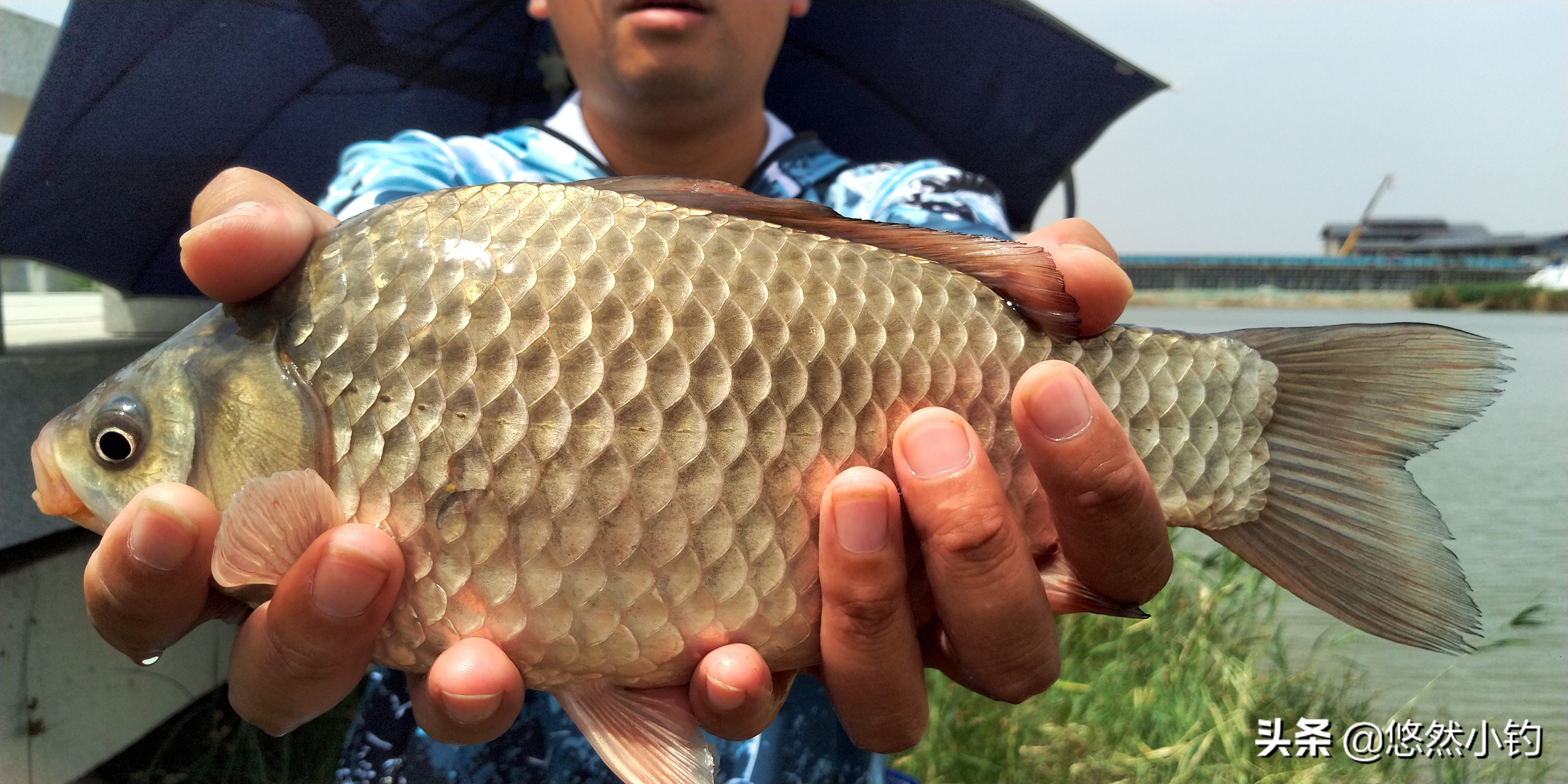 野钓避小鱼最有效的方法,野钓如何避小钓大