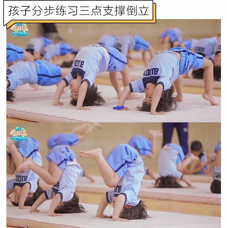 日本幼儿园体育教育视频,国外变态运动训练方法