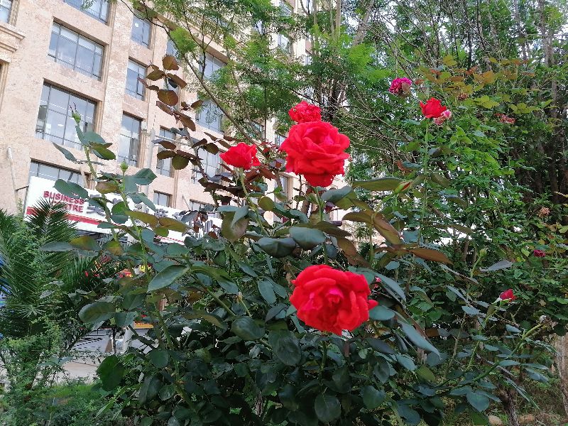 怎样解决孩子心理问题,如何解决孩子的情绪问题