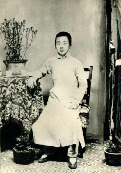 杨廷宝先生诞辰一百周年纪念文集,杨廷宝故居纪念馆