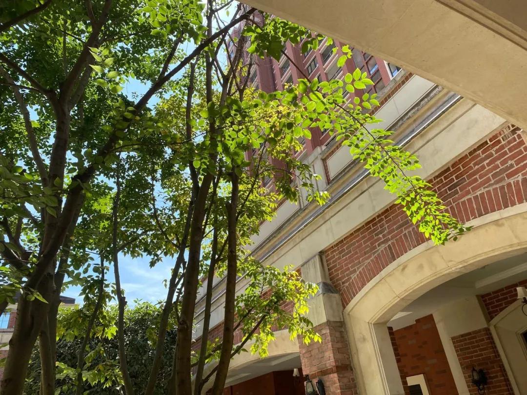 名校聚集区属于什么档次,名校聚集的地方