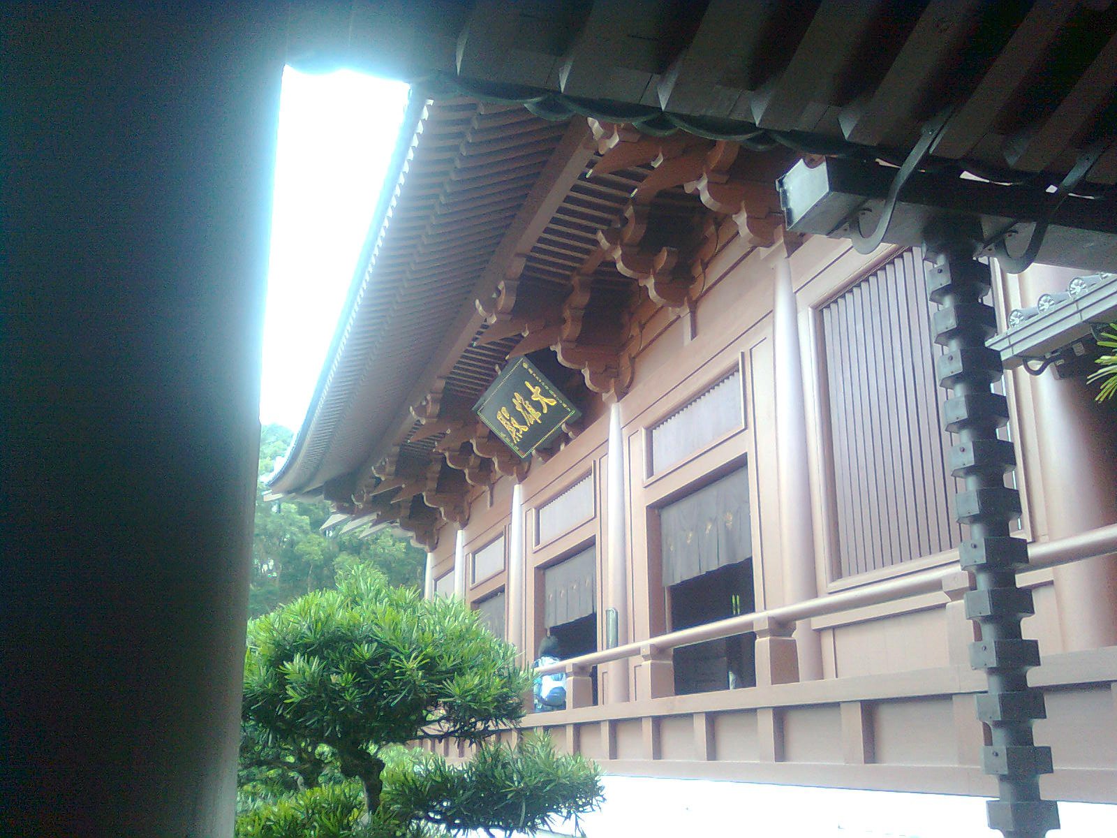 香港志莲净苑地图,香港志莲净苑好玩吗