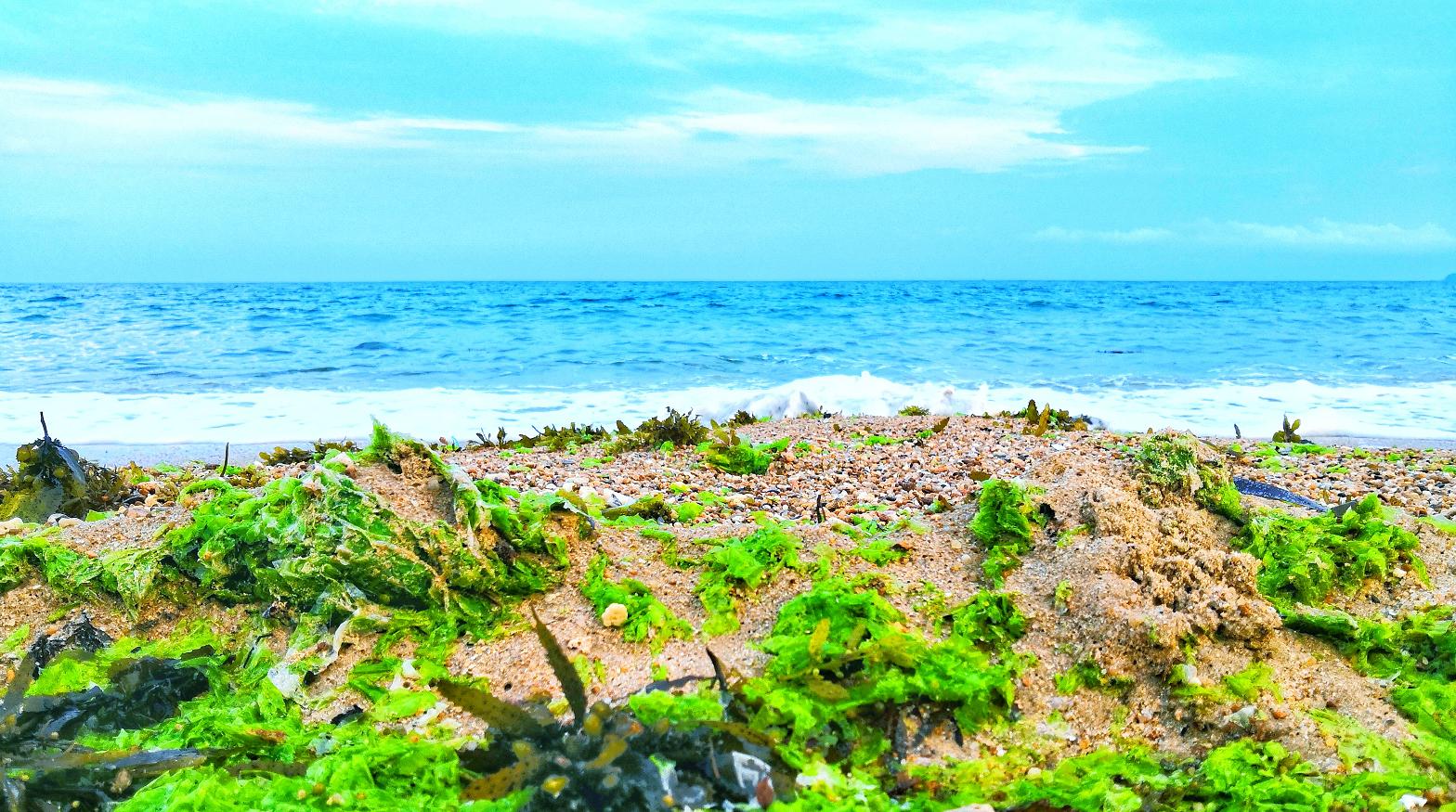 都是网红惹的祸，三亚万丽为何被称为最适合父母和宝宝住的酒店？