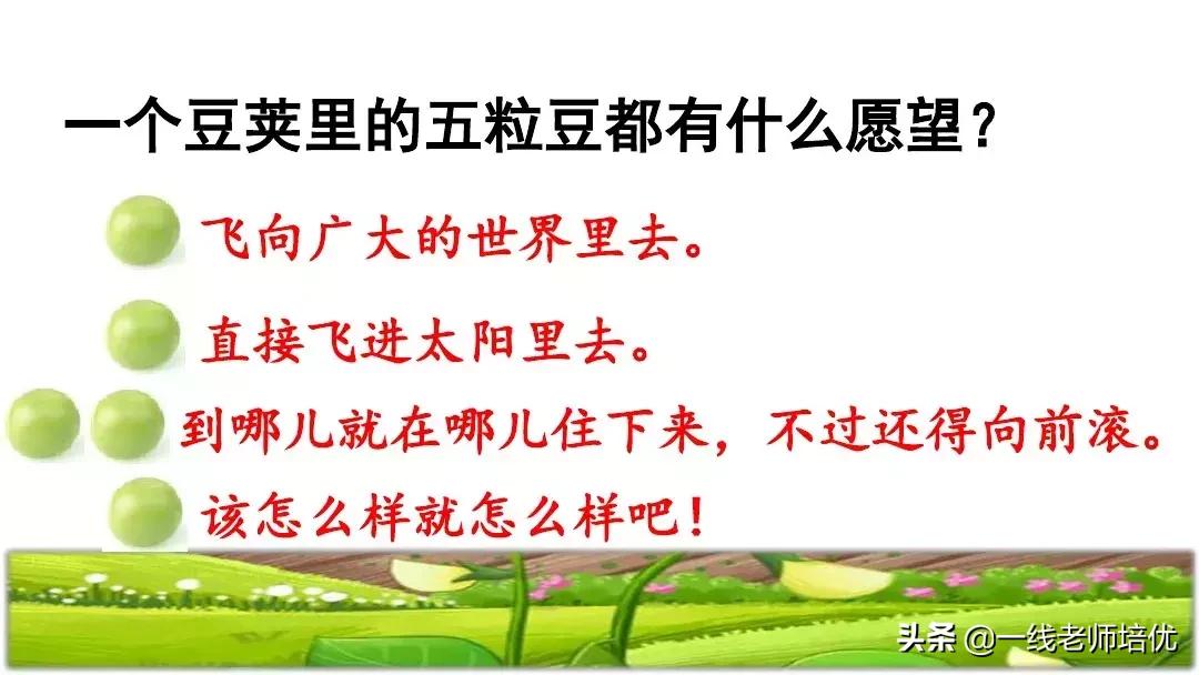 四年级上册豆荚里的五粒豆笔记,一个豆荚里的五粒豆四年级课文