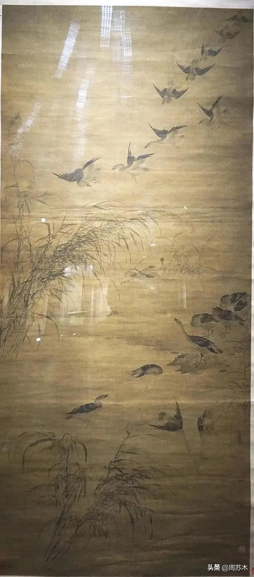 大雅之堂摄影作品欣赏,大雅堂灯光秀