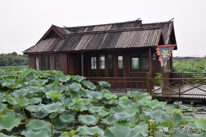 江苏常熟沙家浜旅游攻略,江苏常熟沙家浜地图