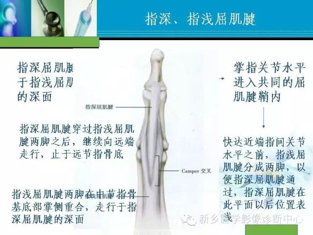 单只手指磁共振,手指用磁共振能做出来结果吗