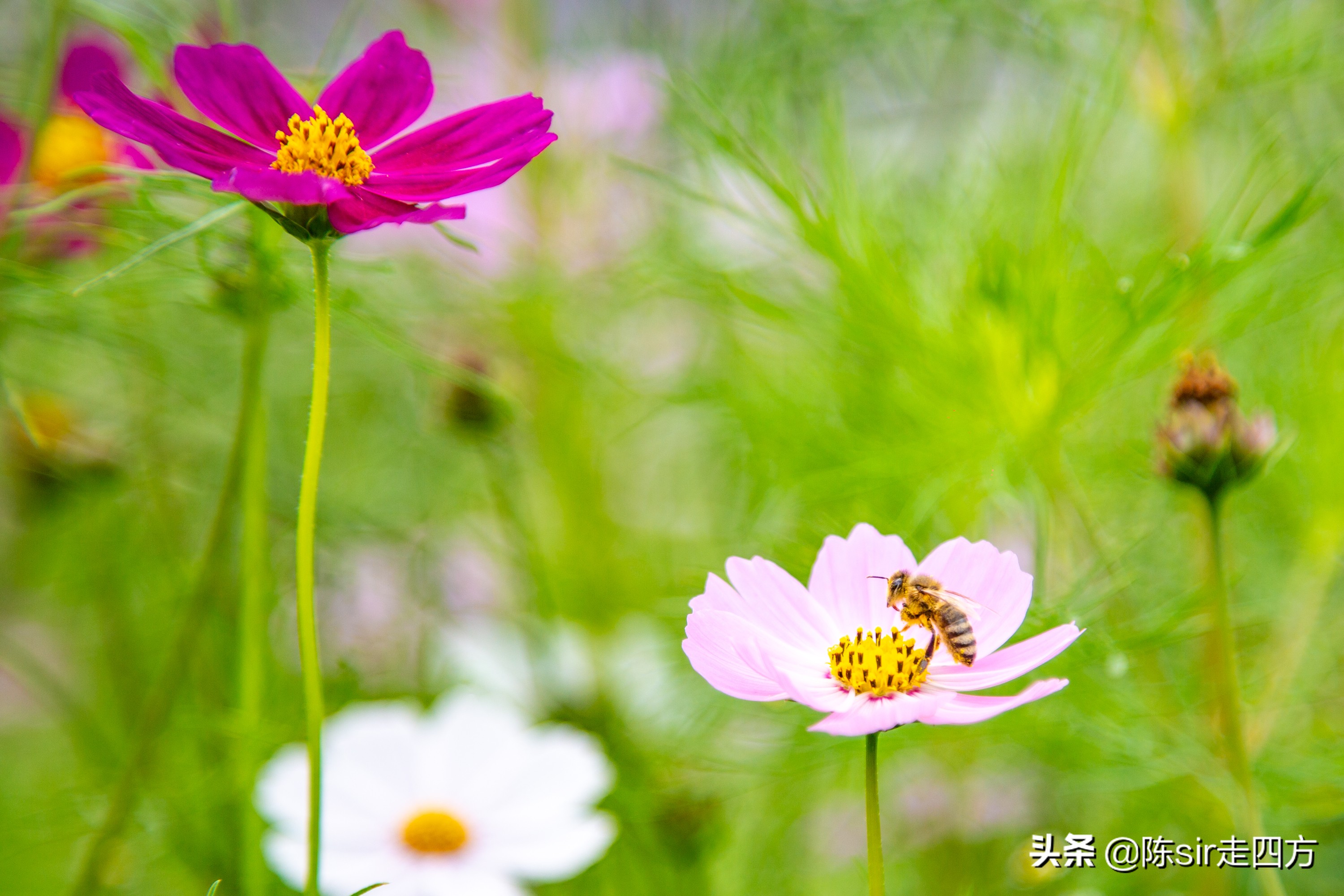 重庆到桐梓自驾游攻略路线,重庆到贵州桐梓三日游最佳路线图