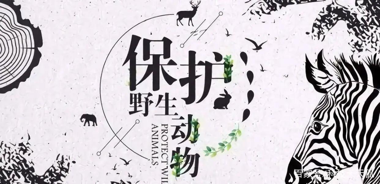 马化腾微信封号有法律程序吗,微信被马化腾封号的表现