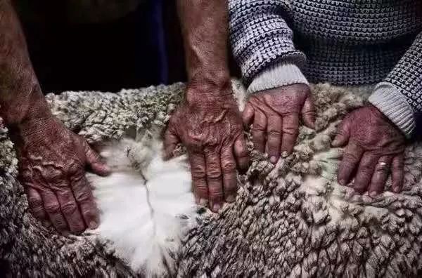 澳洲原装进口ugg靴,深扒izone