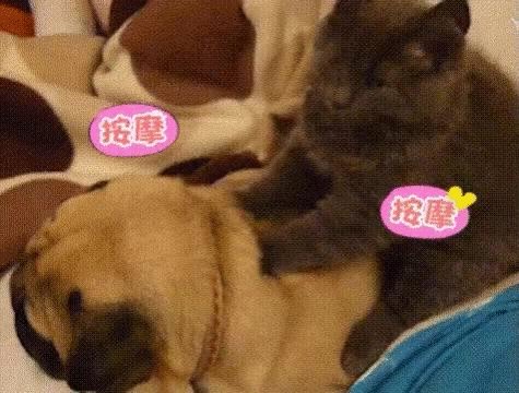 满脸皱纹怎么办教你一个淡皱妙招,脸上的皱纹怎么快速消除小妙招