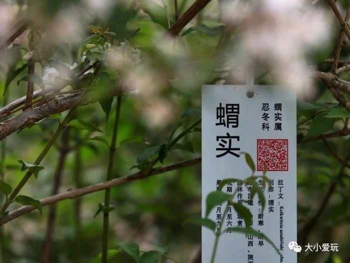 盘点北京适合遛娃的六个地方,周末免费遛娃好去处北京