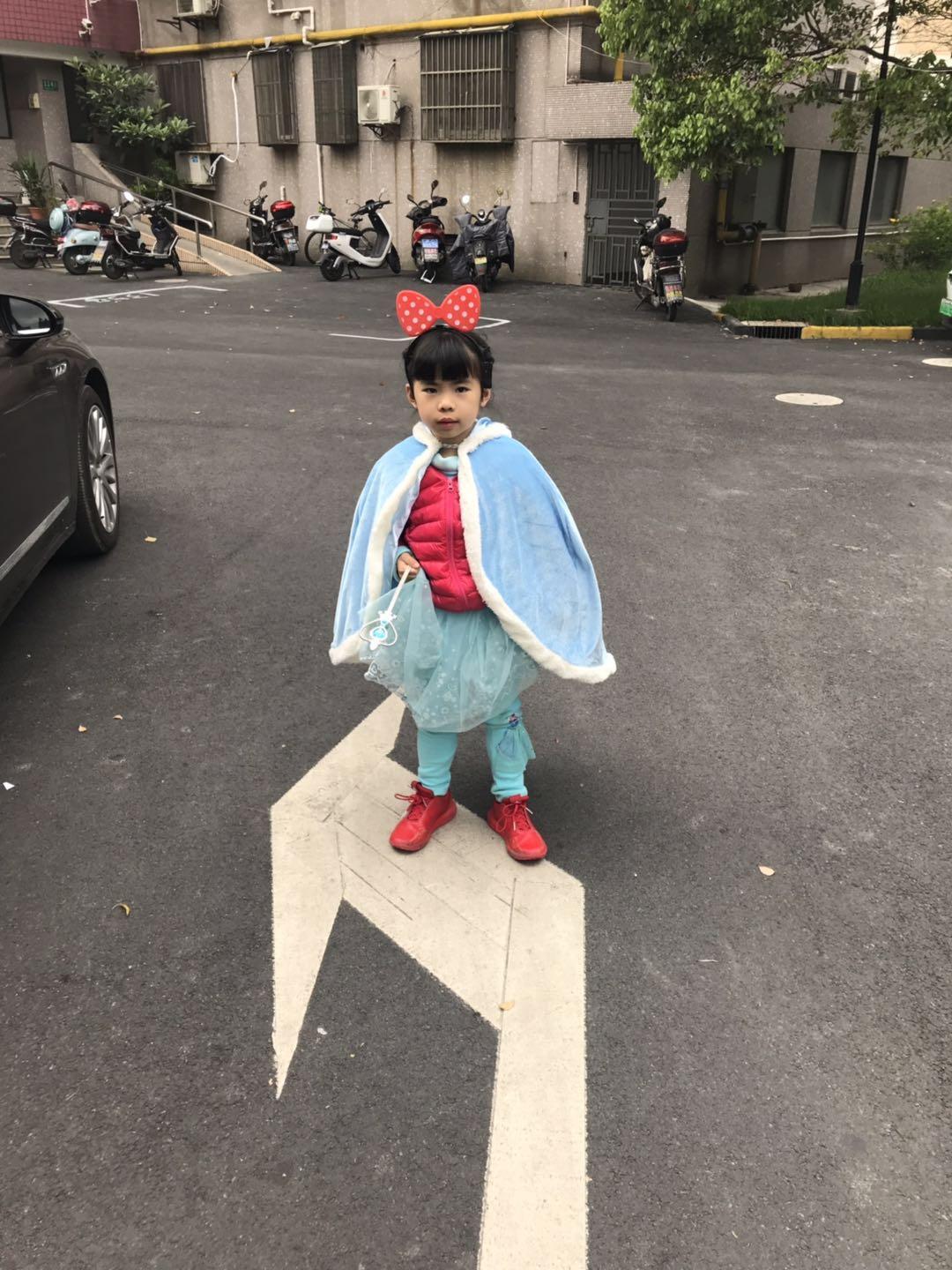 上海野生动物园太阳广场节目安排,上海野生动物园建议游玩时间