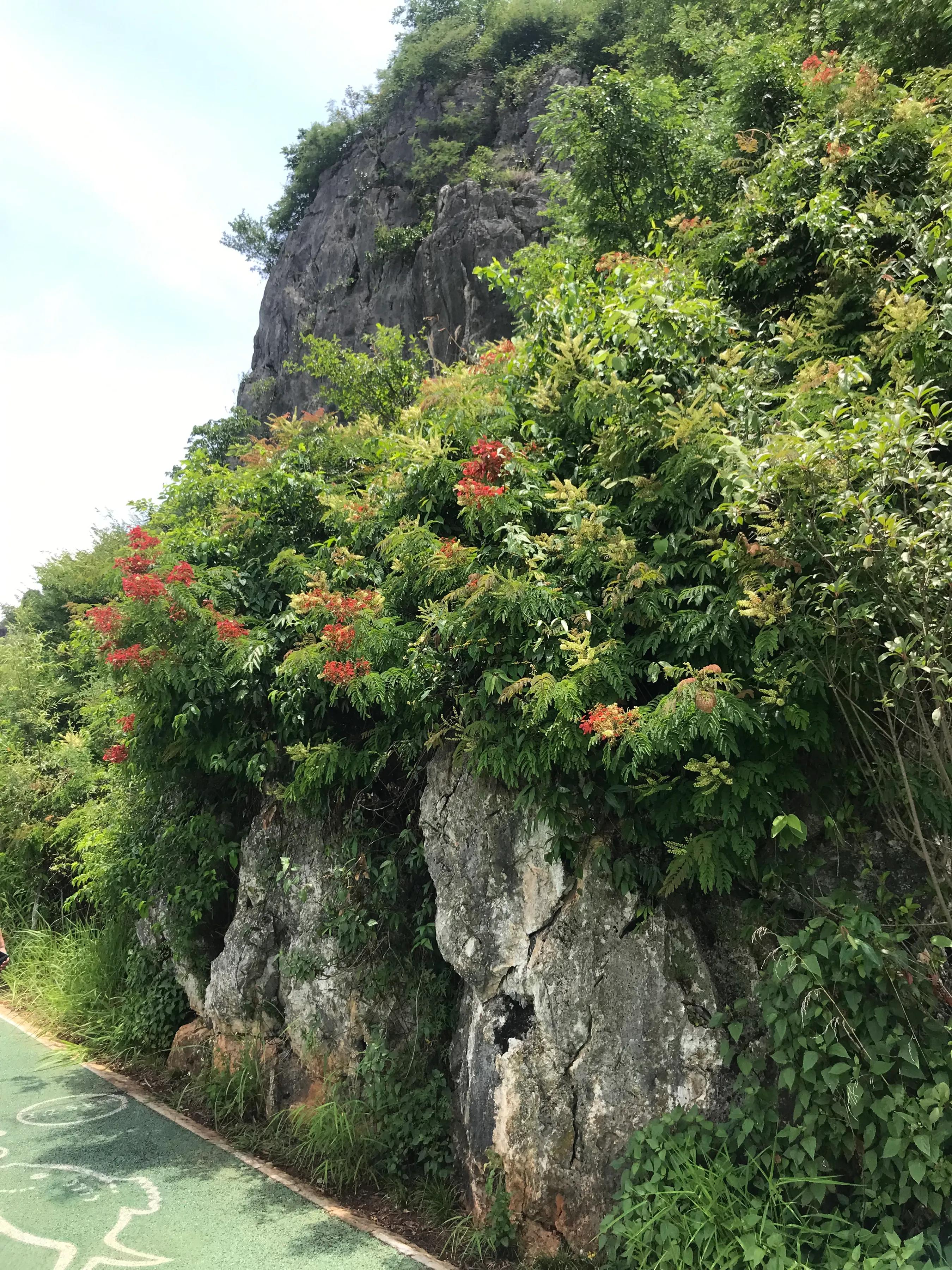 「女人自恋:渴望承认」第一章女性自恋1