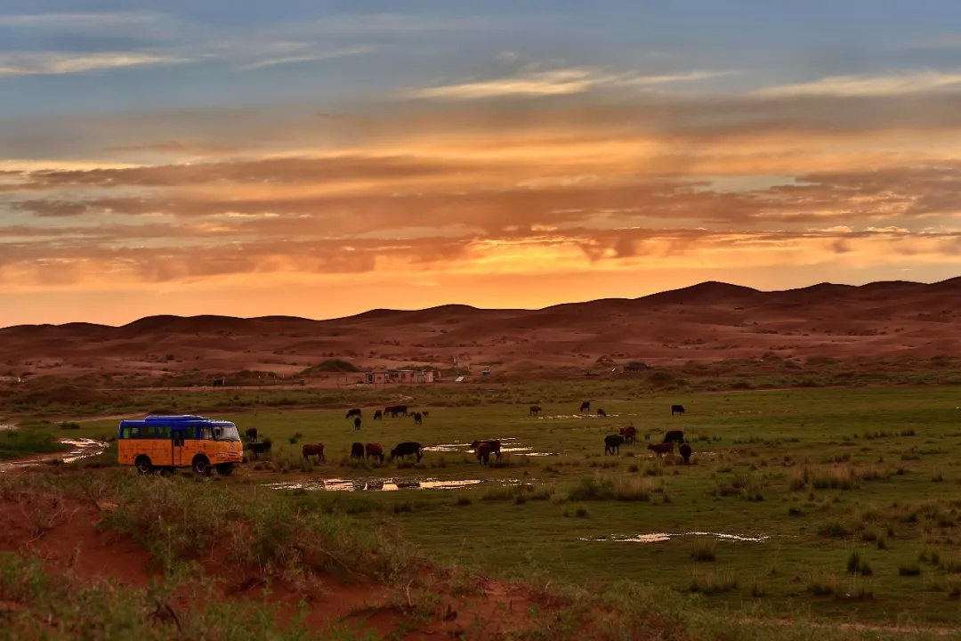 沙漠自然教育夏令营,2020沙漠夏令营报名