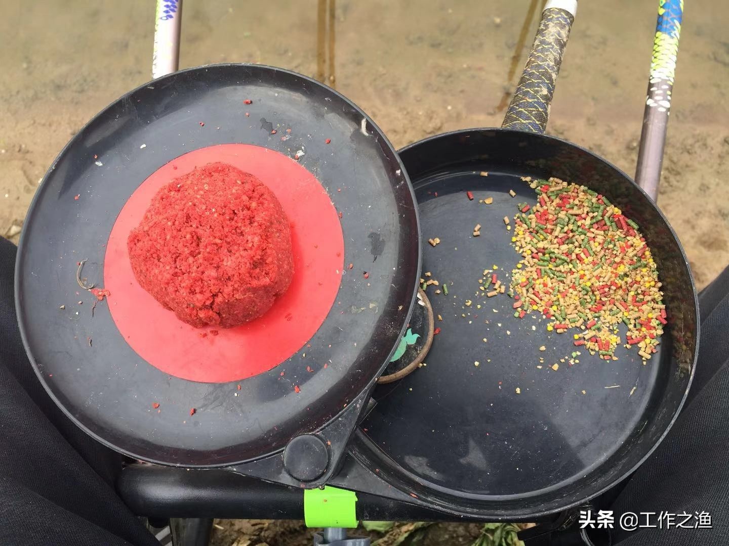 春江水暖鱼先知，浅谈环境对鱼行为的影响，知道这些还怕钓不好鱼