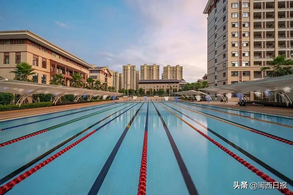 亮点提前看第二届进博会剧透来了,龙岩2019盛会