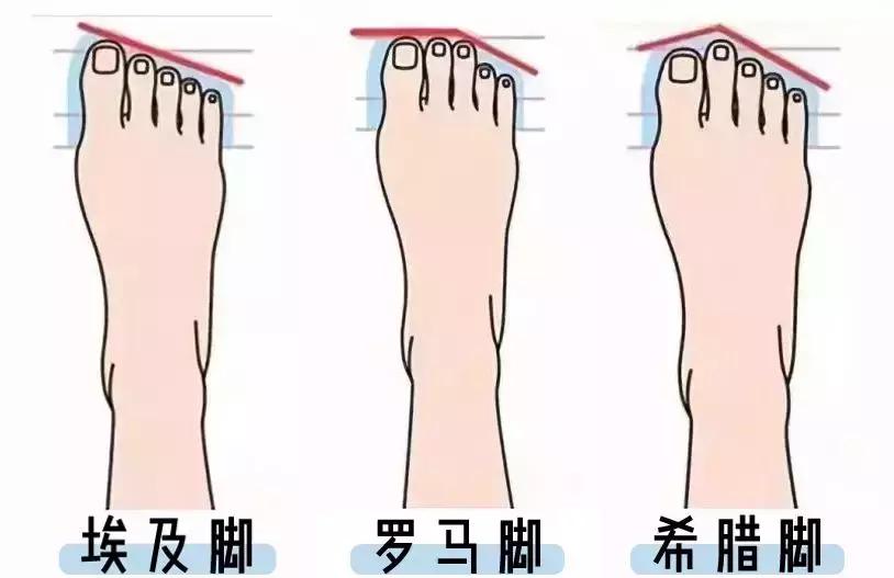三种脚型怎么选鞋子,三种脚型图解大全