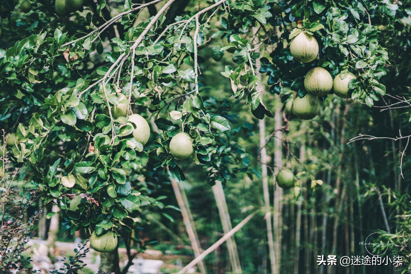 贵州的世外桃源景区,贵州被忽视的秘境