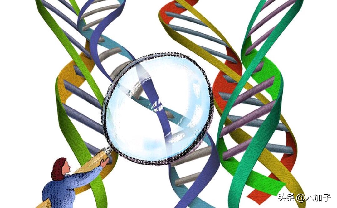 胎停两次第三次正常的可能性大吗,两次胎停后再次备孕需要检查什么