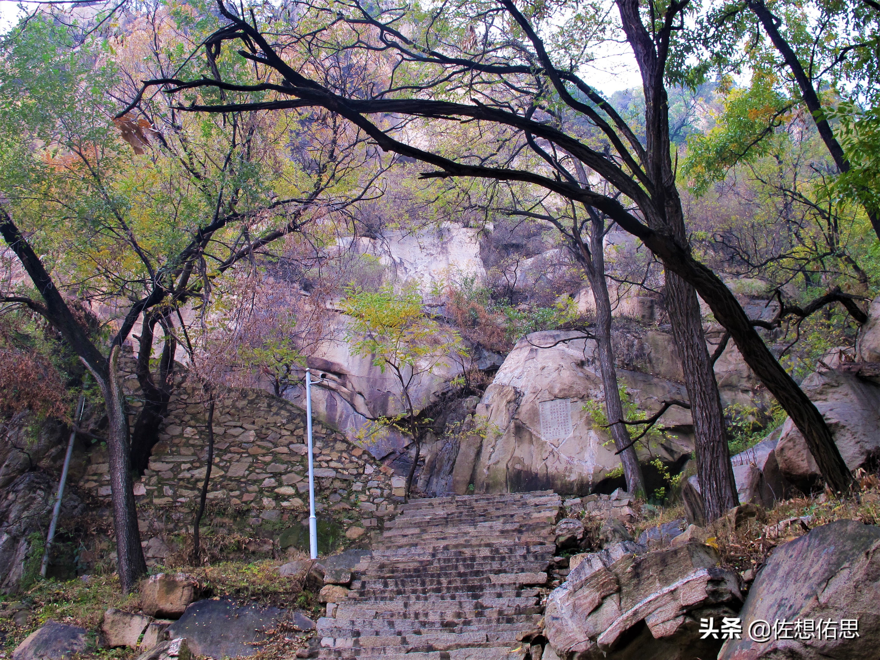 扇子崖优惠,泰安扇子崖免门票吗