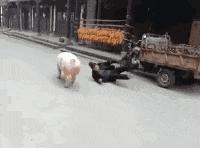 设计师脑洞大奇葩设计,脑洞大的设计师奇葩设计