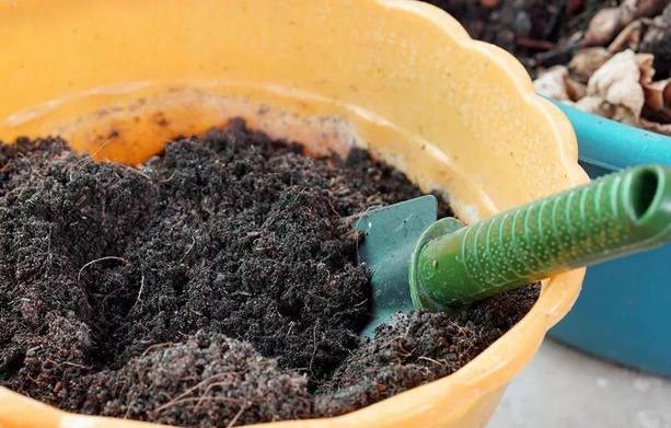 家庭盆栽土壤不透气怎么办?核桃壳、瓜子皮一用,烂根问题不在