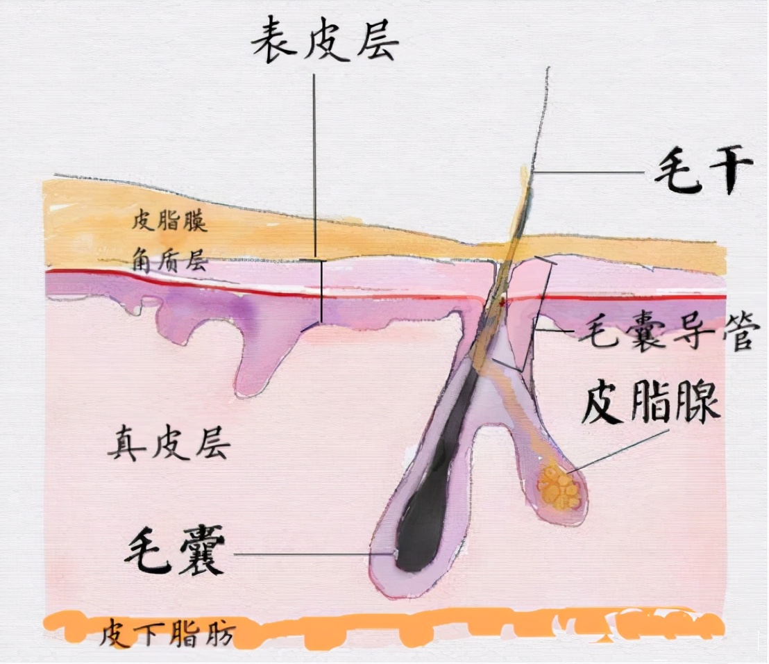 博士说护肤是智商税,药学博士的优缺点