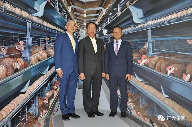 泰国农合部考察正大集团平谷项目,借鉴参考先进模式