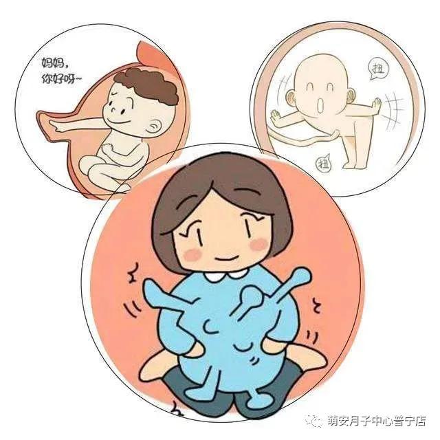 孕期小知识最新更新,孕期小知识视频