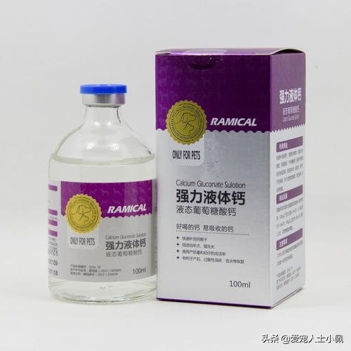 猫怀孕了不想让它生怎么办,为什么我的猫怀孕了胃口不好