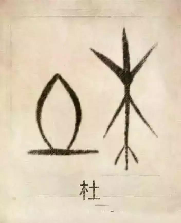 中国100个姓氏图腾,姓氏祖先图腾徐