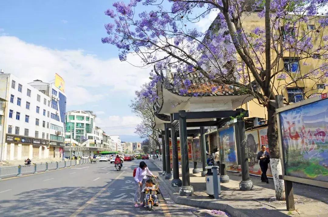 凉山州哪里可以赏花,西昌赏花攻略