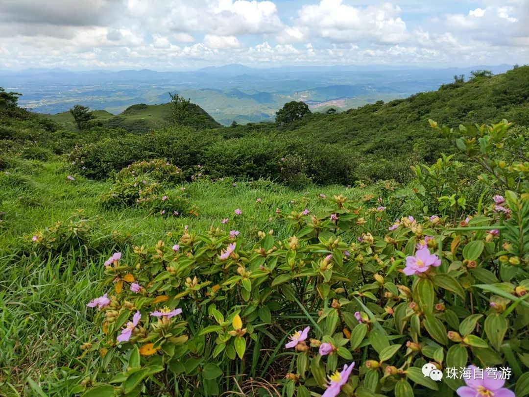 大山峰水牛坪露营记,东岸岭露营徒步