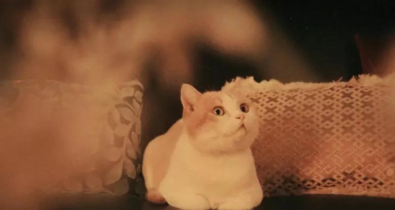 友情的尽头是孤独,一段渐行渐远的友情