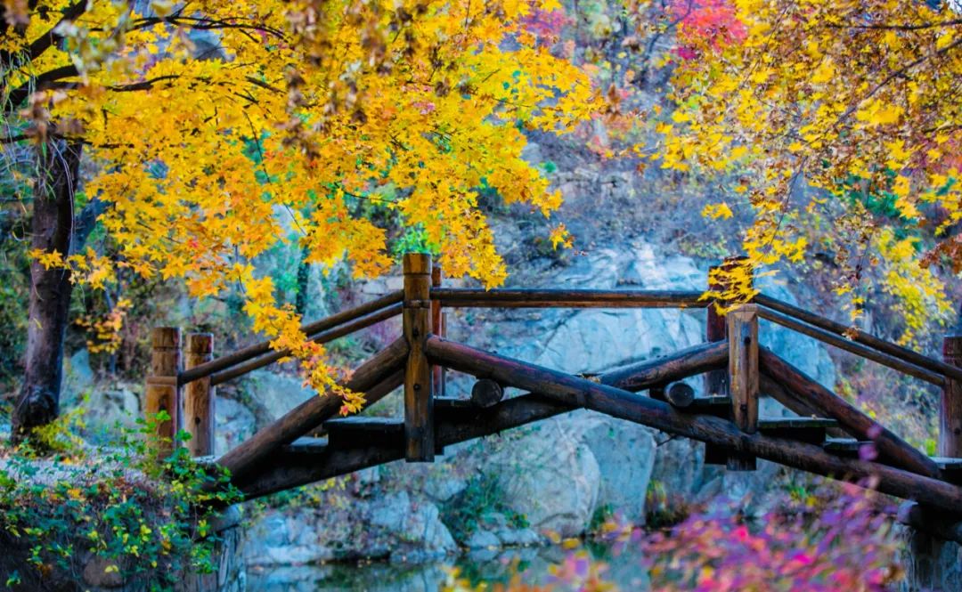 济南亲子遛娃景点排行榜夏季,济南槐荫区遛娃好去处很近的