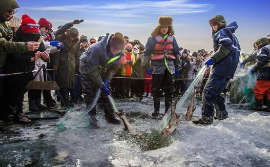 查干湖捕鱼基本上捕多少斤,查干湖冬捕每年什么时间捕鱼