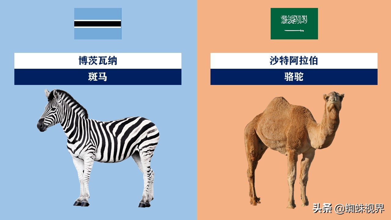 60秒认识中国55项世界遗产,世界各国的代表动物分别是